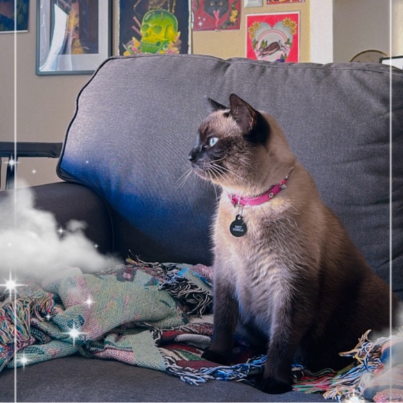 ✨🌙About the seller/buyer🦇✨ - Picture 2 of 4